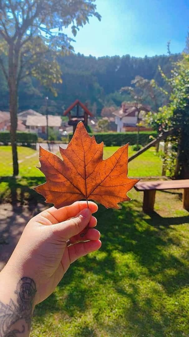 Chales E Suites Lima Monte Verde  Dış mekan fotoğraf